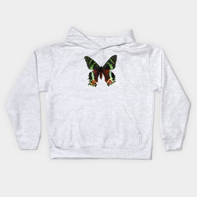 Urania ripheus butterfly Kids Hoodie by Savousepate